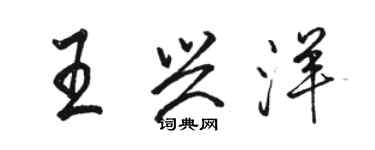 骆恒光王兴洋行书个性签名怎么写