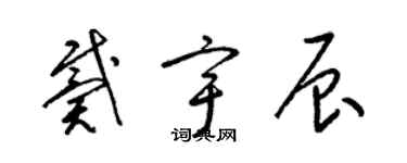 梁锦英戴宇辰草书个性签名怎么写