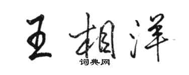 骆恒光王相洋行书个性签名怎么写