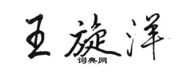 骆恒光王旋洋行书个性签名怎么写