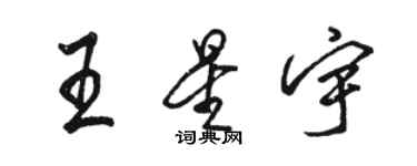 骆恒光王星宇行书个性签名怎么写
