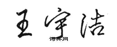 骆恒光王宇洁行书个性签名怎么写