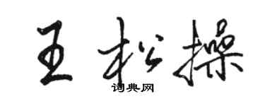 骆恒光王松操行书个性签名怎么写