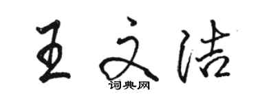骆恒光王文洁行书个性签名怎么写