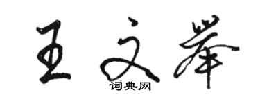 骆恒光王文举行书个性签名怎么写