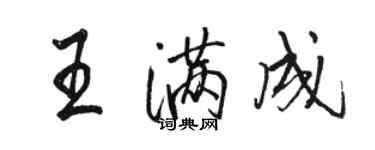 骆恒光王满成行书个性签名怎么写