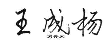 骆恒光王成杨行书个性签名怎么写