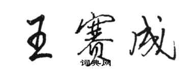 骆恒光王赛成行书个性签名怎么写