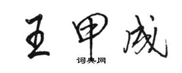 骆恒光王甲成行书个性签名怎么写