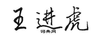 骆恒光王进虎行书个性签名怎么写