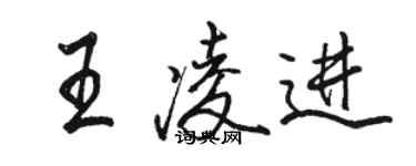骆恒光王凌进行书个性签名怎么写