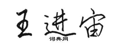 骆恒光王进宙行书个性签名怎么写
