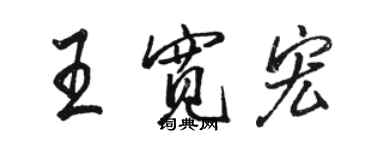 骆恒光王宽宏行书个性签名怎么写