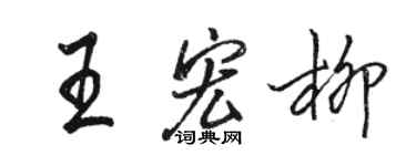 骆恒光王宏柳行书个性签名怎么写