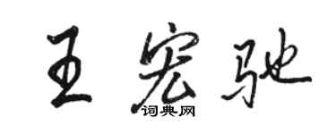 骆恒光王宏驰行书个性签名怎么写