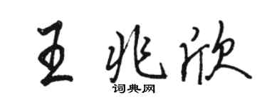 骆恒光王兆欣行书个性签名怎么写