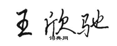 骆恒光王欣驰行书个性签名怎么写