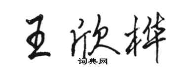 骆恒光王欣桦行书个性签名怎么写