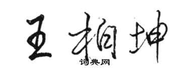 骆恒光王柏坤行书个性签名怎么写