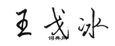 骆恒光王戈冰行书个性签名怎么写