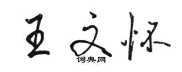 骆恒光王文怀行书个性签名怎么写