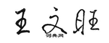 骆恒光王文旺行书个性签名怎么写