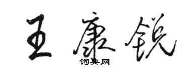 骆恒光王康锐行书个性签名怎么写