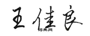骆恒光王佳良行书个性签名怎么写
