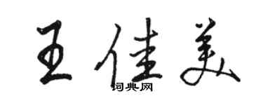 骆恒光王佳美行书个性签名怎么写