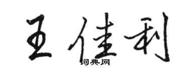 骆恒光王佳利行书个性签名怎么写