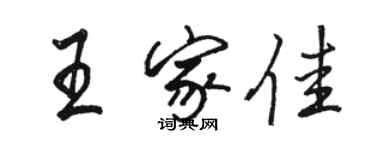 骆恒光王家佳行书个性签名怎么写