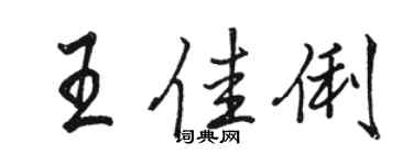 骆恒光王佳俐行书个性签名怎么写