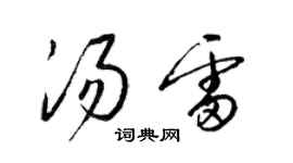 梁锦英汤雷草书个性签名怎么写
