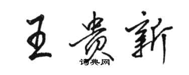 骆恒光王贵新行书个性签名怎么写