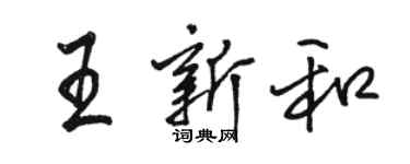 骆恒光王新和行书个性签名怎么写