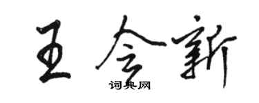 骆恒光王会新行书个性签名怎么写