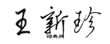骆恒光王新珍行书个性签名怎么写