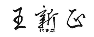 骆恒光王新正行书个性签名怎么写