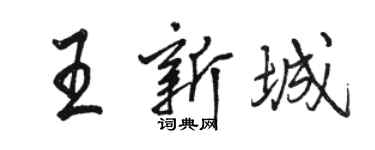骆恒光王新城行书个性签名怎么写
