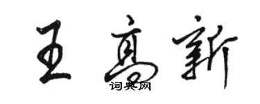 骆恒光王高新行书个性签名怎么写