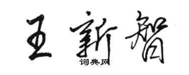 骆恒光王新智行书个性签名怎么写