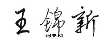 骆恒光王锦新行书个性签名怎么写