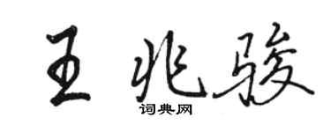 骆恒光王兆骏行书个性签名怎么写