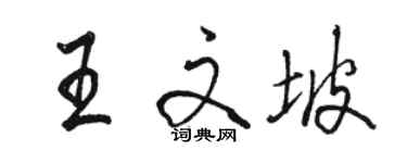 骆恒光王文坡行书个性签名怎么写