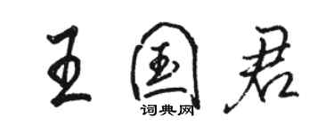 骆恒光王国君行书个性签名怎么写