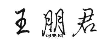 骆恒光王朋君行书个性签名怎么写
