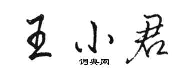 骆恒光王小君行书个性签名怎么写