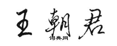 骆恒光王朝君行书个性签名怎么写