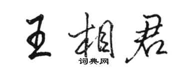 骆恒光王相君行书个性签名怎么写