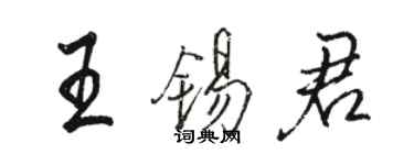 骆恒光王锡君行书个性签名怎么写